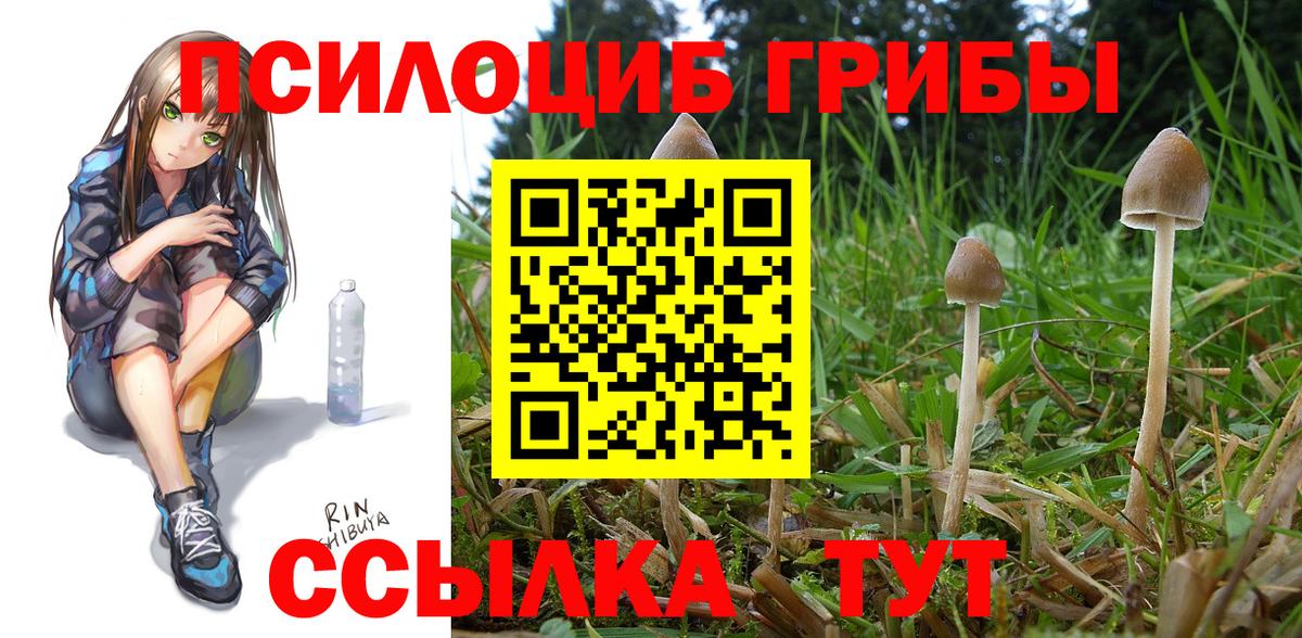 Канаш  купить   Вход с VPN  Галлюциногенные грибы GOLDEN TEACHER 