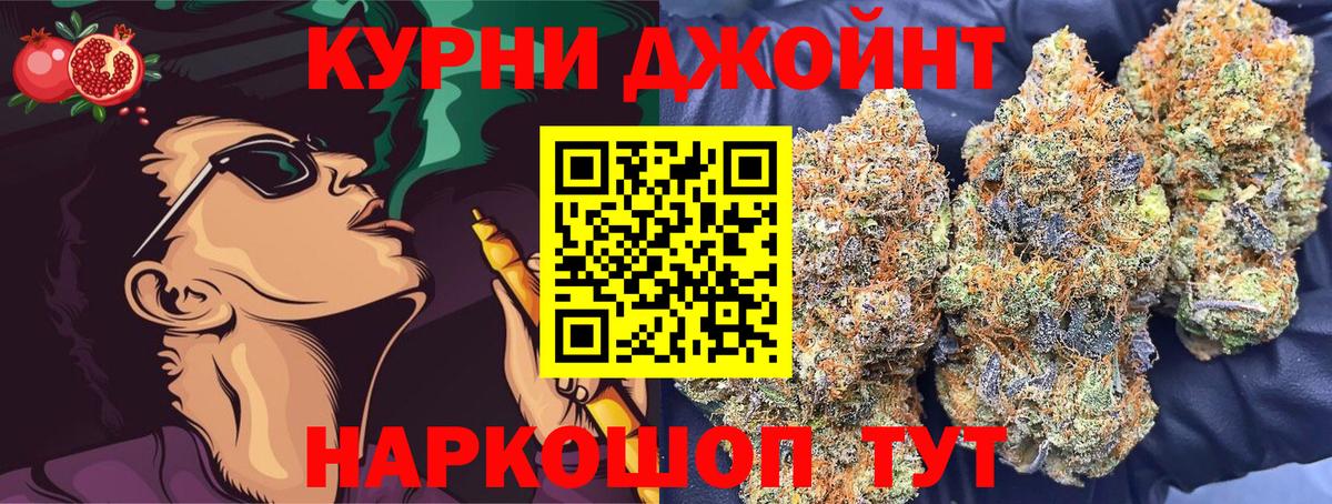 Бошки марихуана план  Вход с VPN  Каннабис индика  Конопля индика  Канабис марихуана  Канаш 